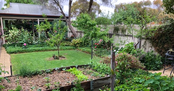 Spring garden competition opens for 2020