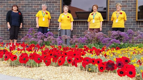 Field of colour commemorates Remembrance Day 2021