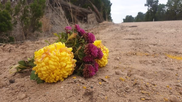 Tragedy at Pompoota: One teenager killed, another reported after road crash