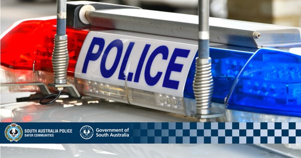 Two arrested after robbery on Standen Street