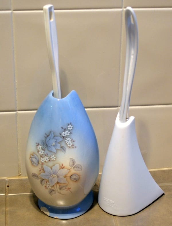 Life Through the Lens: The toilet brush