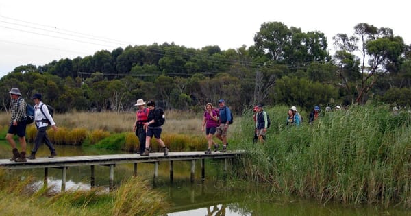 Walk of the month: Rocky Gully Wetland, Murray Bridge