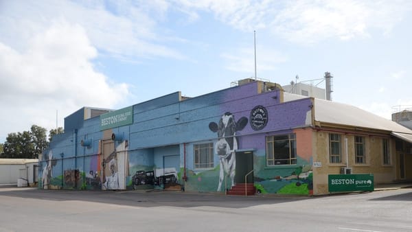 Jervois dairy factory expansion will create 40 jobs