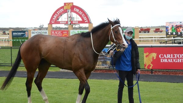 Regalo Di Gaetano wins the 2021 Gold Cup