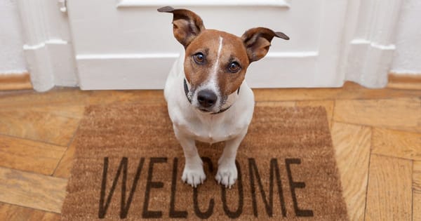 More landlords should accept tenants with pets, advocate says