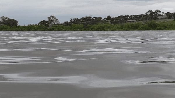 What will the River Murray look like by 2100?