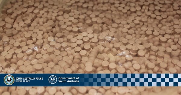 Tip-off leads to drug trafficking arrest