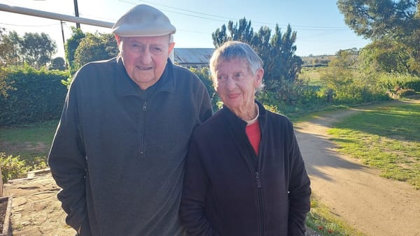 How Elliott Staiff found a wild tomato and started a glasshouse revolution