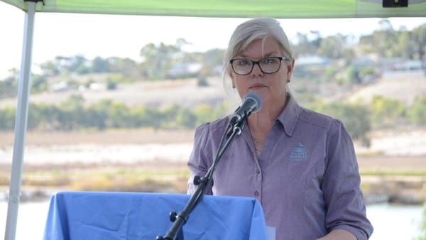 'You learn to accept it': Navigating loss, grief and life with Silent Ripples