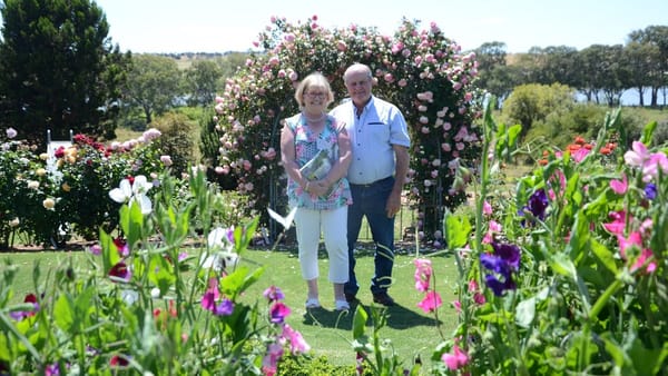 Ready, set, grow: Murray Bridge's spring garden competition is on again