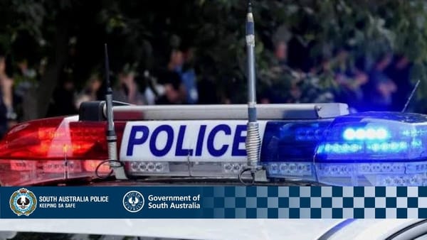 Thieves steal car parts at Tailem Bend