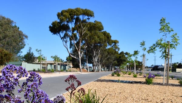 Recycled water project will grow plants along Swanport Road