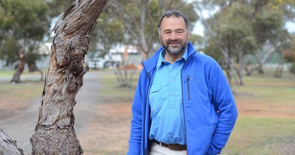 Doughnut art, native plants to feature at revamped Jubilee Park