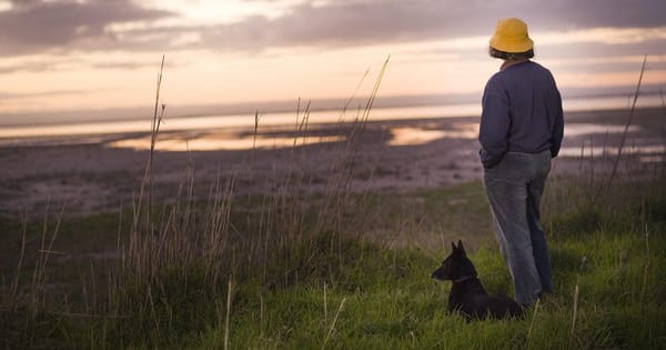 Interconnector back on to-do list as Coorong survey asks which of 11 options locals prefer