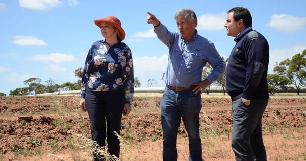 Keeping kangaroos out proves key to conservation at Frahns Farm