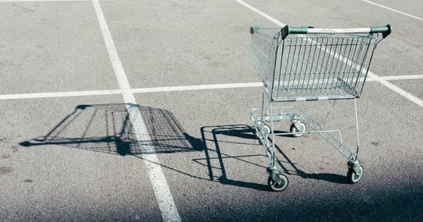 Shopping trolley owners need to clean up their act, councillors say