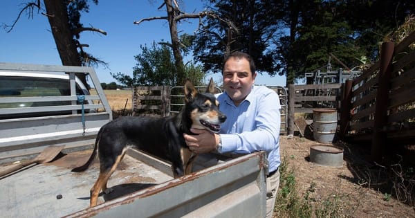 Jobseeker payment may not return to pre-pandemic level, MP Tony Pasin suggests