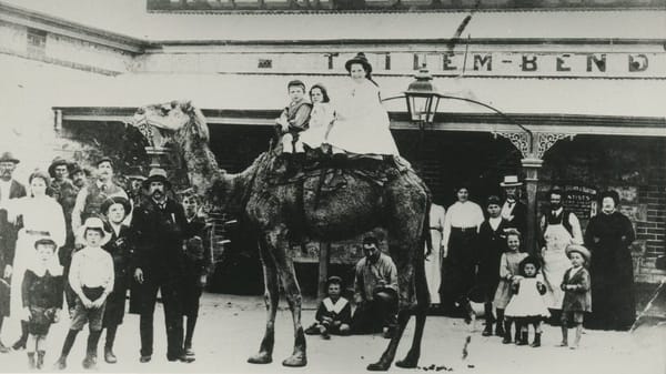 Things to do in Murray Bridge: March 26-April 1, 2021