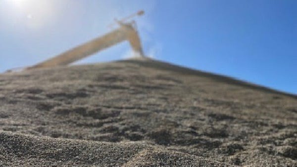 Grain prices help Lower Murray growers make the most of an average harvest