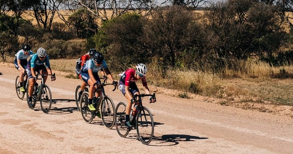 What's on this week: August 14-20