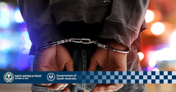 Murray Bridge man jailed for assaulting police, housemate