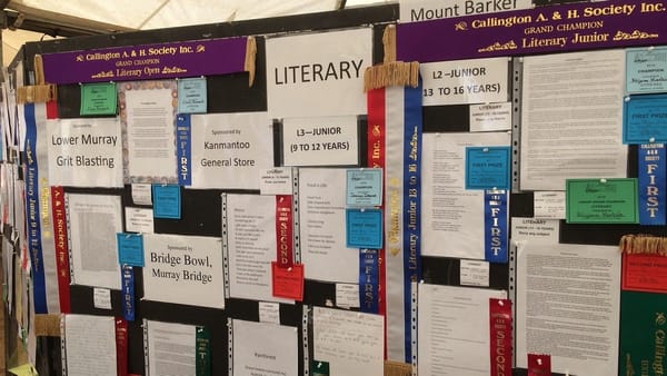 Callington Show competition asks artists, writers to reflect on 2020