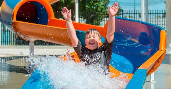 What's on this week: October 30-November 5, 2020