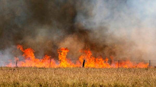 Header fire at Wynarka causes $90,000 damage