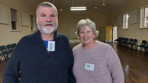 Could a progress association help things get done around Jervois?
