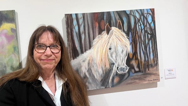 Susan Brittan’s brumby wins at the 2024 Murray Bridge Rotary Art Show