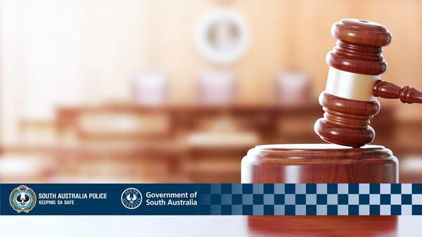 Hit-run driver sentenced for 2022 crash at White Hill