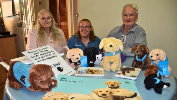 Royal Society for the Blind auxiliary shuts down after 60 years