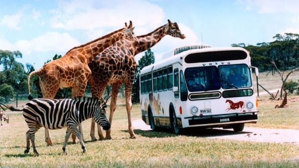 Things to do in Murray Bridge: October 20–26, 2023