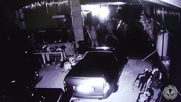 CCTV footage shows alleged perpetrators of assault at Jervois